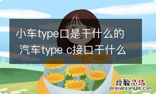 小车type口是干什么的 汽车type c接口干什么用的