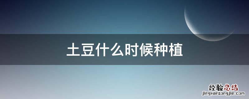 土豆什么时候种植