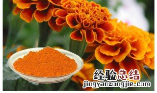 叶黄素的作用与功效禁忌 叶黄素的作用