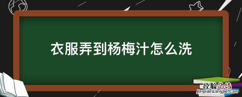 衣服弄到杨梅汁怎么洗