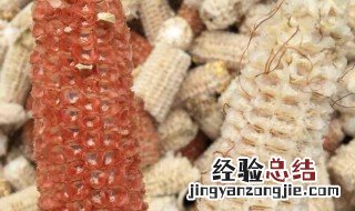 玉米芯属于什么垃圾分类类别 玉米芯属于什么垃圾