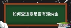 如何查违章是否有滞纳金