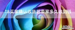 TB买家确认收货后卖家多久收到钱