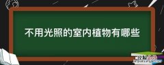 不用光照的室内植物有哪些