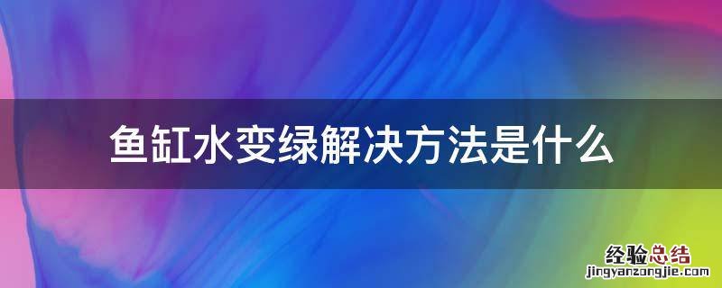 鱼缸水变绿解决方法是什么