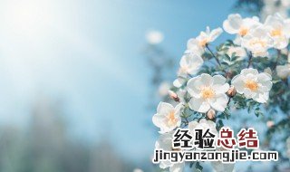 九月九祝福短信 九月九祝福语大全