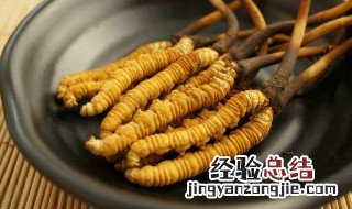 虫花草怎么保存 冬虫夏草保存方法