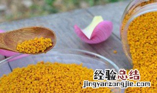 花粉怎么收集保存 保存的时候要注意什么