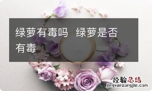 绿萝有毒吗绿萝是否有毒