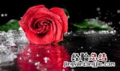 7朵玫瑰花语是什么意思 7朵玫瑰花语寓意