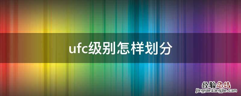 ufc级别怎样划分