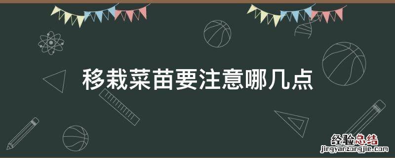 移栽菜苗要注意哪几点