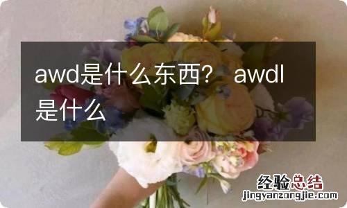 awd是什么东西? awdl是什么