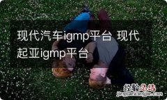 现代汽车igmp平台 现代起亚igmp平台