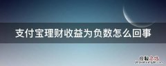 支付宝理财收益为负数怎么回事