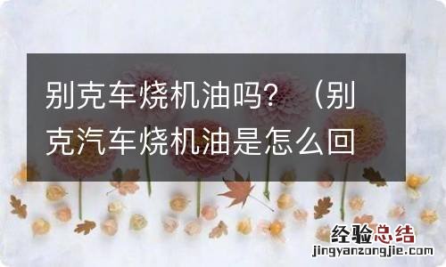 别克汽车烧机油是怎么回事 别克车烧机油吗？