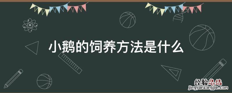 小鹅的饲养方法是什么