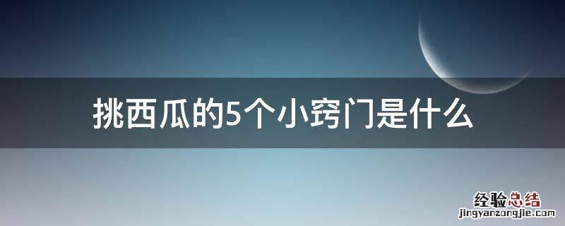 挑西瓜的5个小窍门是什么