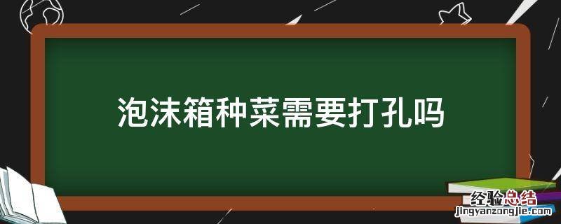 泡沫箱种菜需要打孔吗