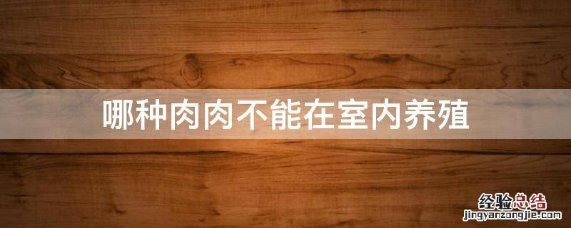 哪种肉肉不能在室内养殖
