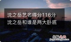 沈之岳艺名得分116分 沈之岳和谁是两大卧底