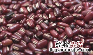 红豆里的黑色虫子是什么虫 红豆里的黑虫是什么虫