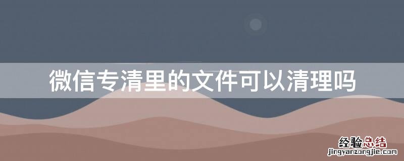 微信专清里的文件可以清理吗