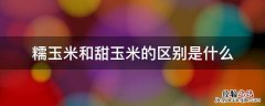 糯玉米和甜玉米的区别是什么