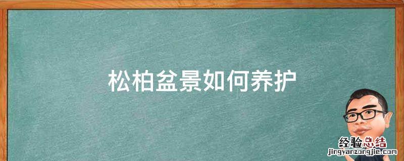 松柏盆景如何养护
