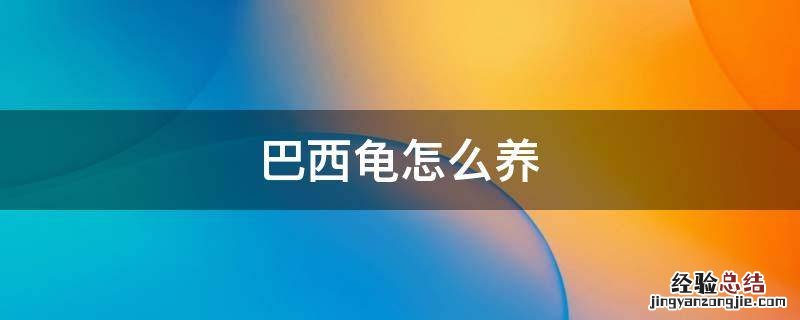 巴西龟怎么养