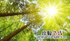 世界地球日是每年的哪一天 世界地球日是每年的4月22日