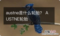 austne是什么轮胎？ AUSTNE轮胎