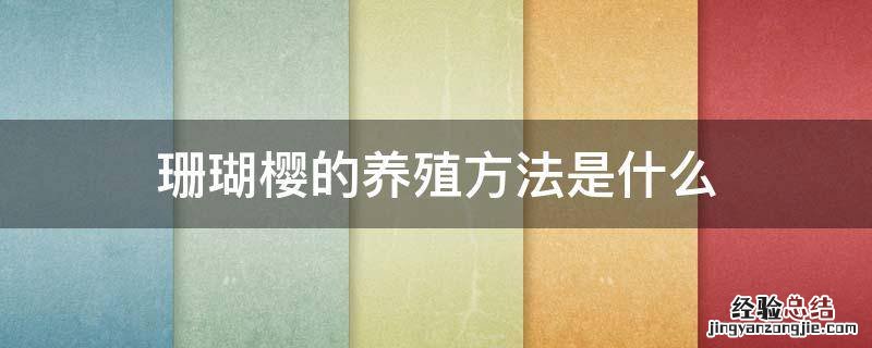 珊瑚樱的养殖方法是什么