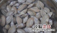 新鲜花甲螺怎么保鲜 花甲螺怎样保鲜