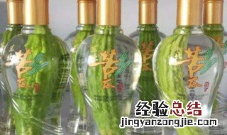 苦瓜泡酒怎么放进去瓶子里 苦瓜酒的苦瓜怎么放进去的