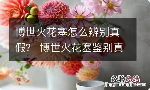 博世火花塞怎么辨别真假？ 博世火花塞鉴别真假