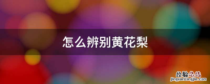 怎么辨别黄花梨