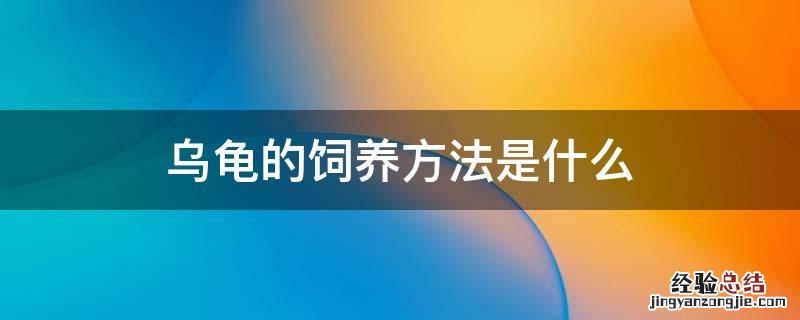 乌龟的饲养方法是什么