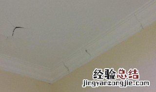天花板有老鼠怎么驱赶 天花板有老鼠怎么驱赶它