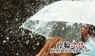 发霉的雨伞用什么洗才能干净 雨伞发霉了怎么清洗