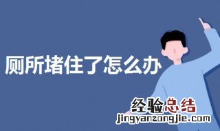 厕所堵住了怎么办 疏通马桶有妙招