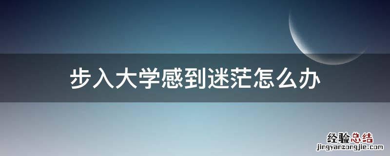步入大学感到迷茫怎么办