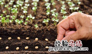 为什么种植要架大棚 种植要架大棚的原因是什么