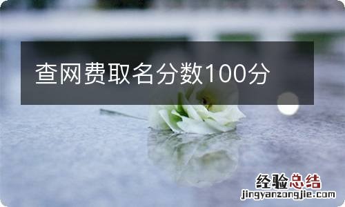 查网费取名分数100分