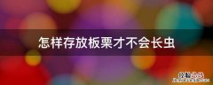 怎样存放板栗才不会长虫