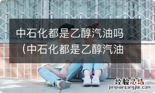 中石化都是乙醇汽油吗唐山 中石化都是乙醇汽油吗