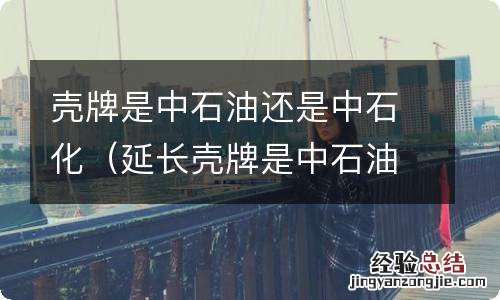 延长壳牌是中石油还是中石化 壳牌是中石油还是中石化