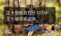 王十朋姓名打分107分 王十朋名字由来