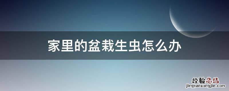 家里的盆栽生虫怎么办