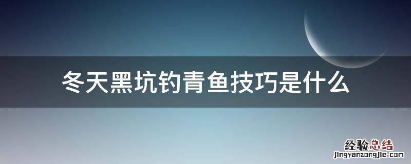 冬天黑坑钓青鱼技巧是什么